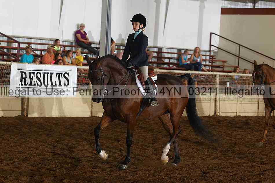 Proof 14yn_03211