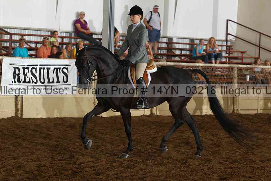 Proof 14yn_03218