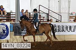 14yn_03224 proof