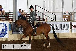 14yn_03226 proof