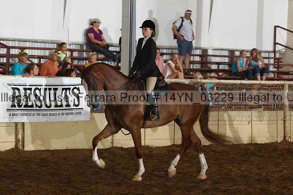 Proof 14yn_03229