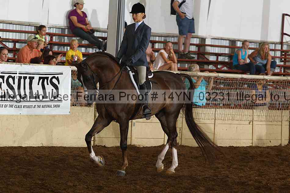 Proof 14yn_03231