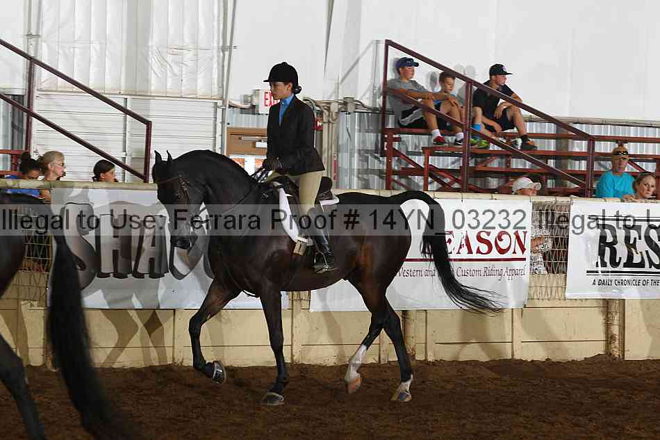 Proof 14yn_03232