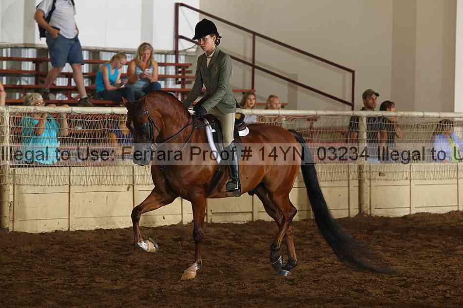 Proof 14yn_03234