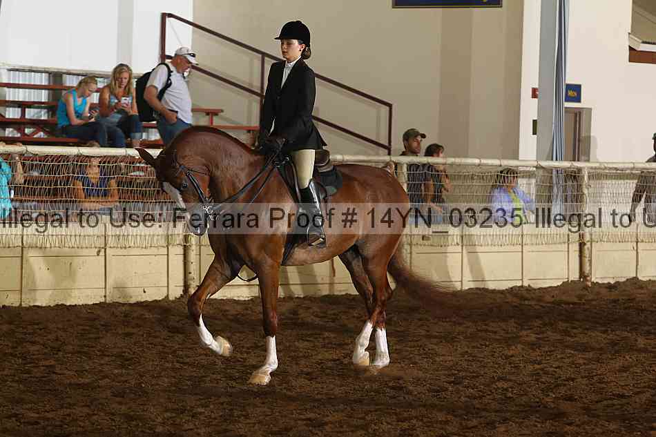 Proof 14yn_03235