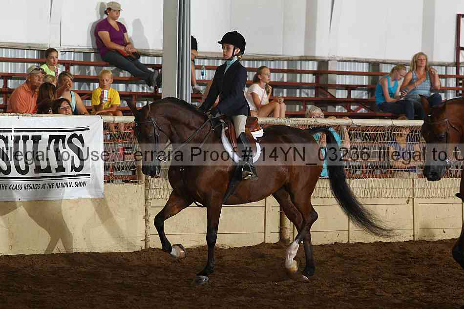 Proof 14yn_03236