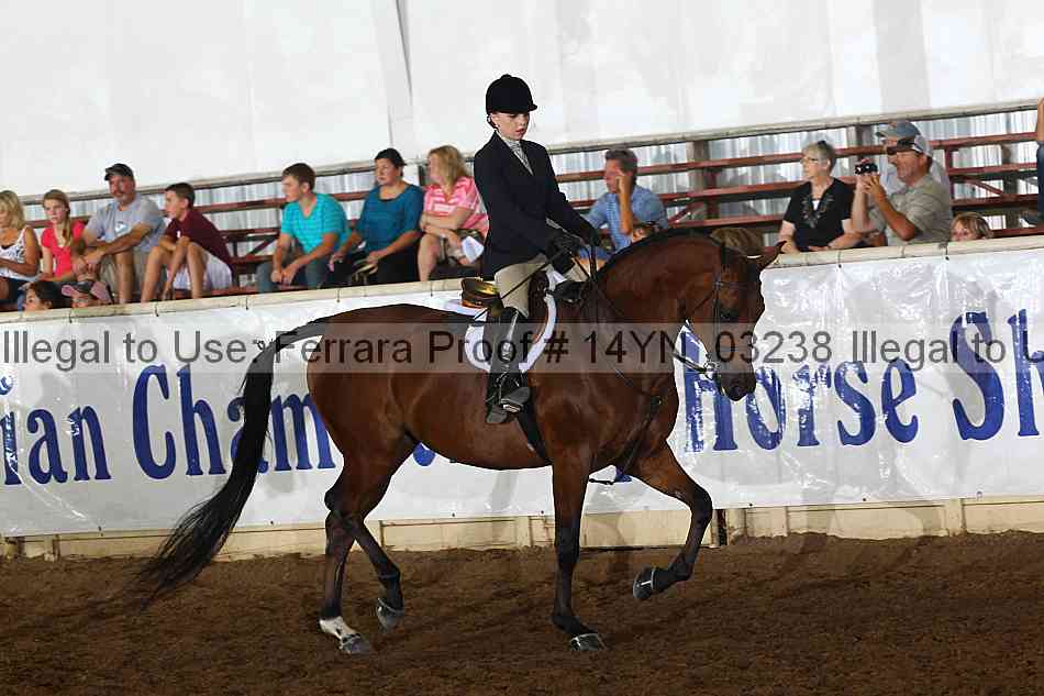 Proof 14yn_03238