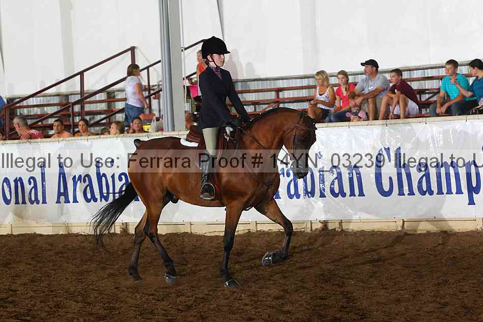 Proof 14yn_03239