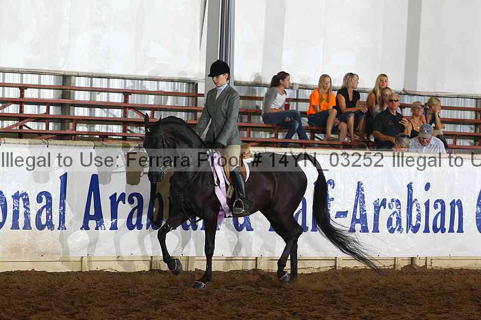 Proof 14yn_03252