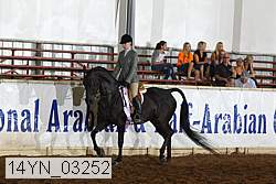 14yn_03252 proof