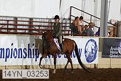14yn_03253 proof