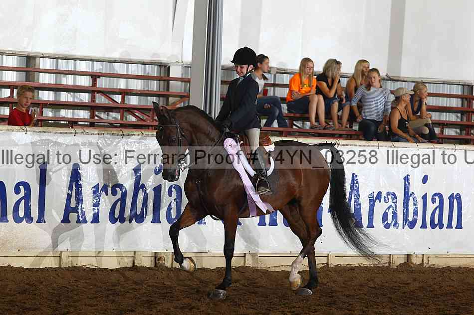 Proof 14yn_03258