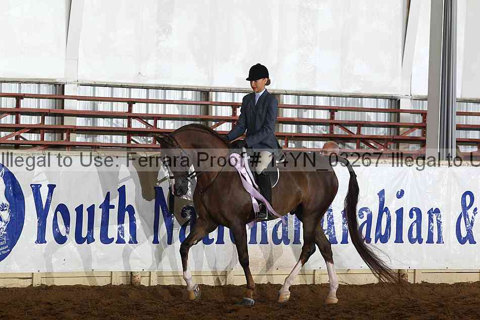 Proof 14yn_03267