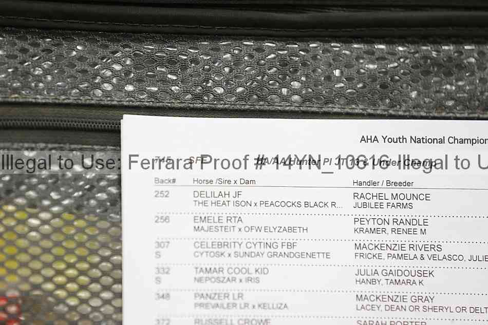Proof 14yn_10616