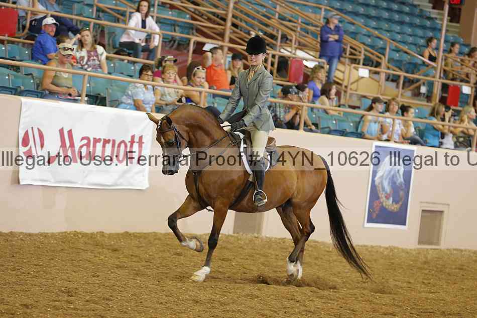 Proof 14yn_10626