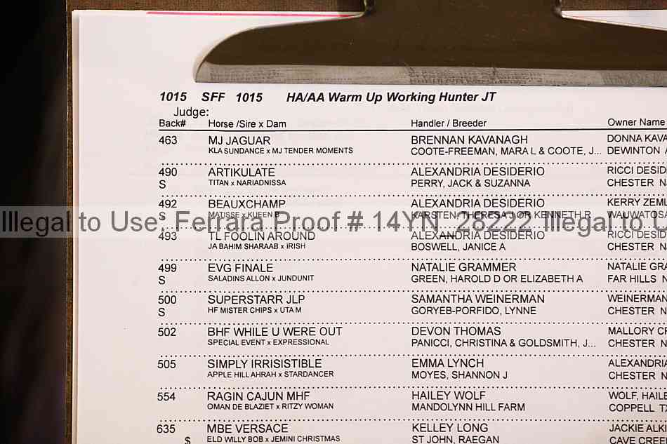 Proof 14yn_28222