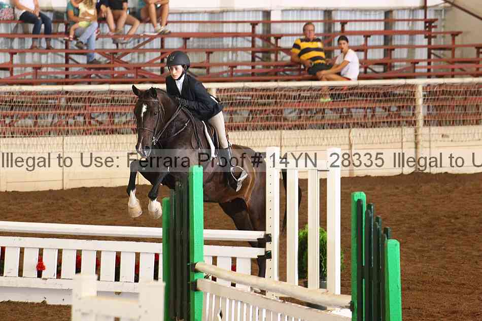 Proof 14yn_28335