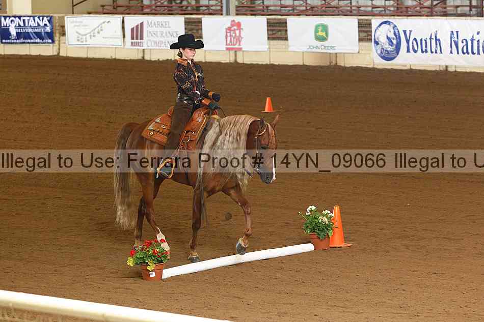 Proof 14yn_09066