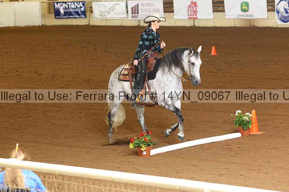 Proof 14yn_09067