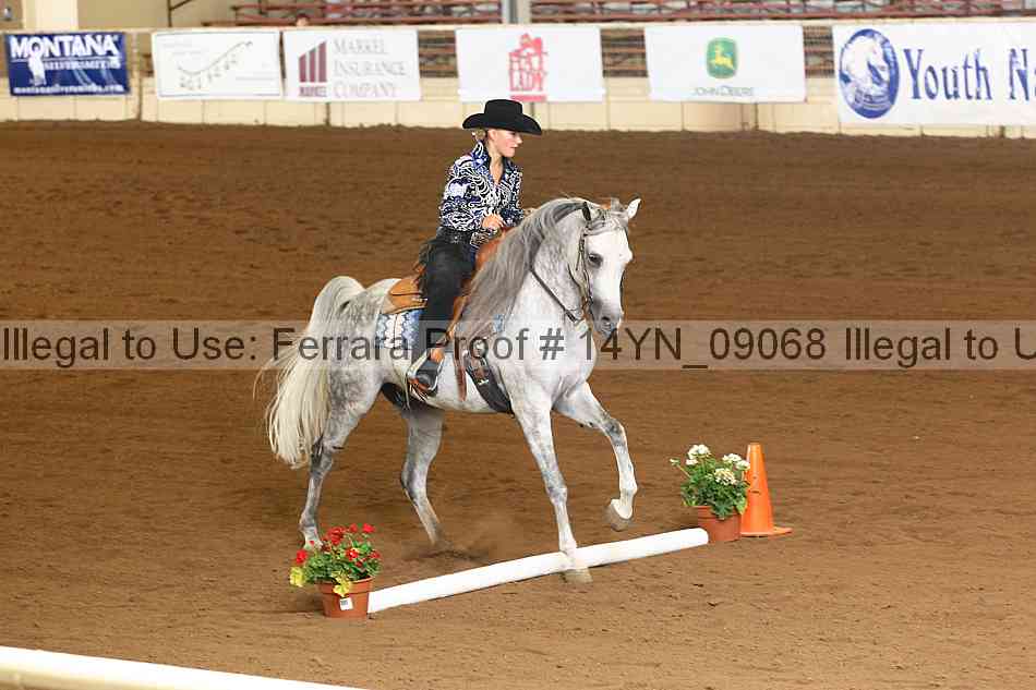 Proof 14yn_09068