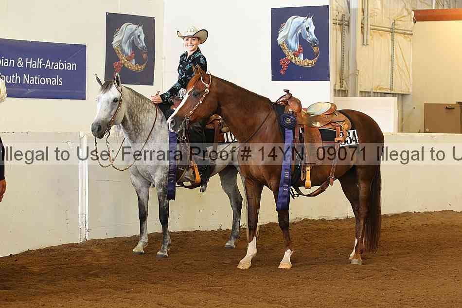 Proof 14yn_09071