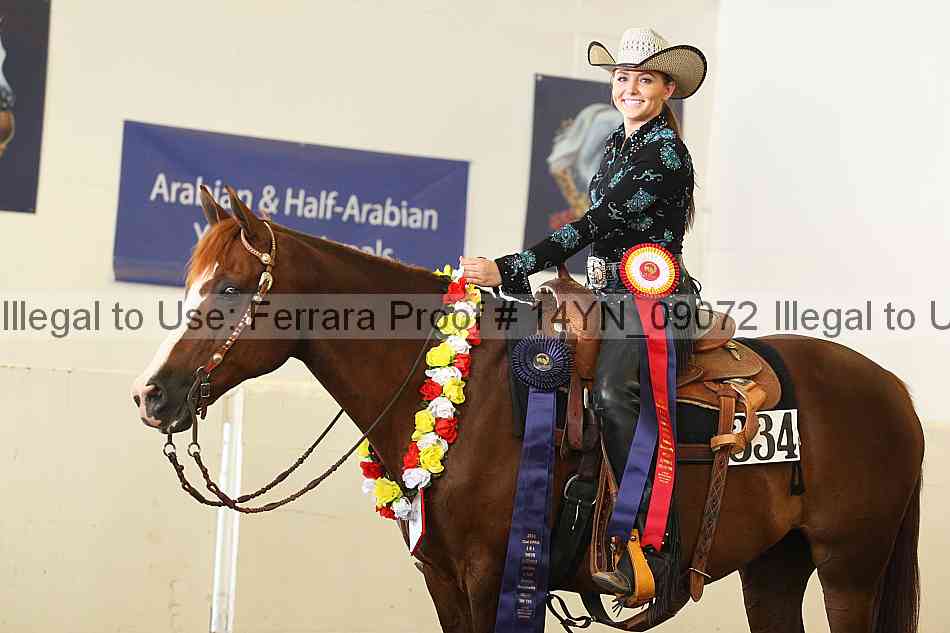 Proof 14yn_09072