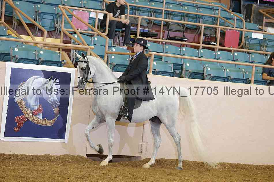 Proof 14yn_17705