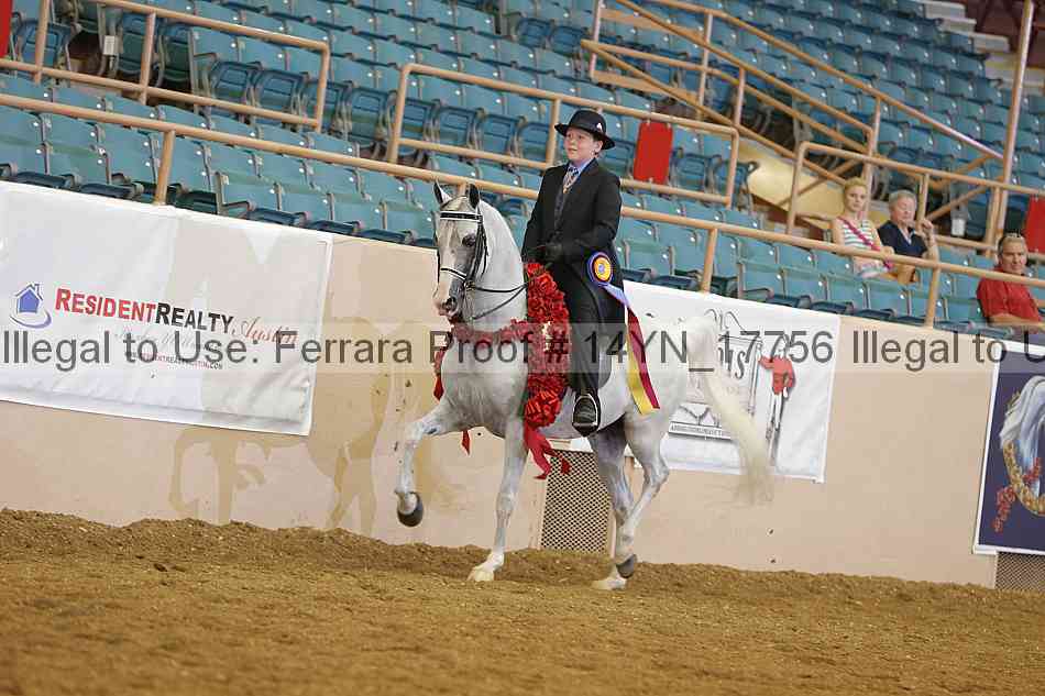 Proof 14yn_17756