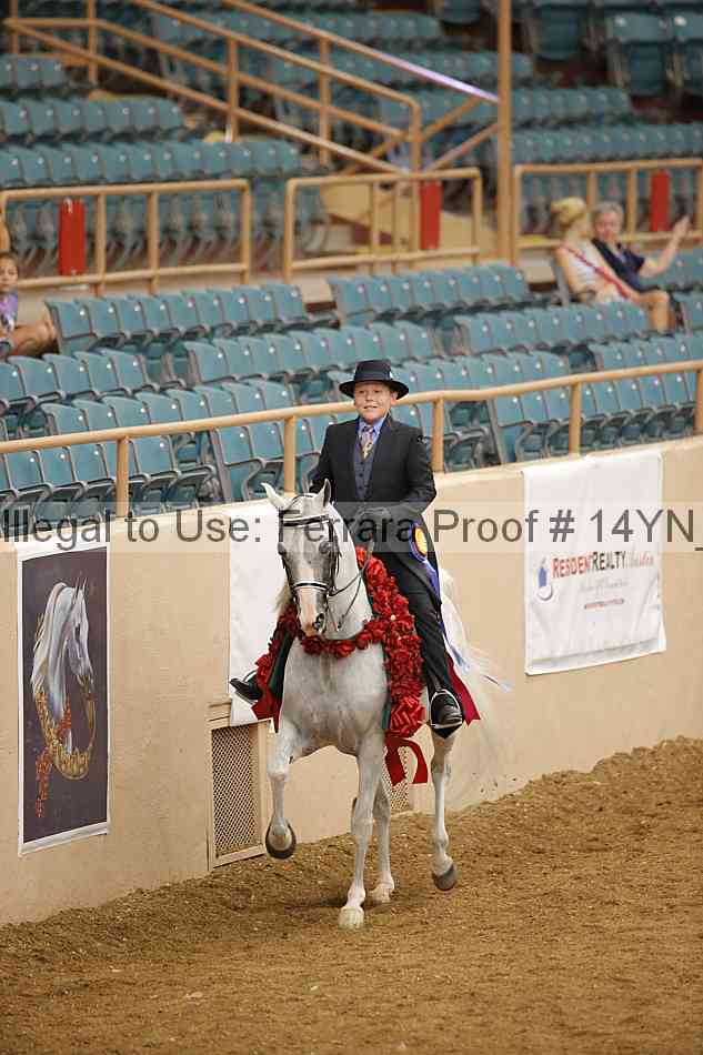 Proof 14yn_17760