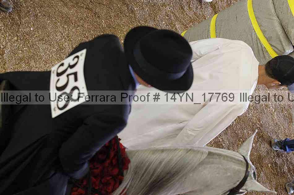 Proof 14yn_17769