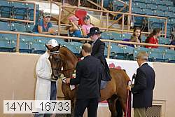 14yn_16733 proof
