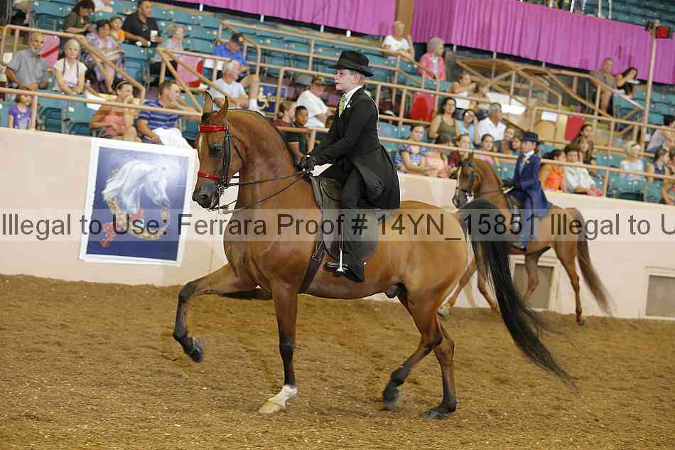 Proof 14yn_15851
