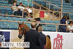 14yn_15905 proof