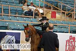 14yn_15906 proof