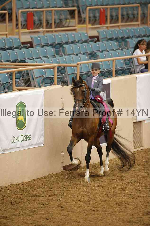 Proof 14yn_15942