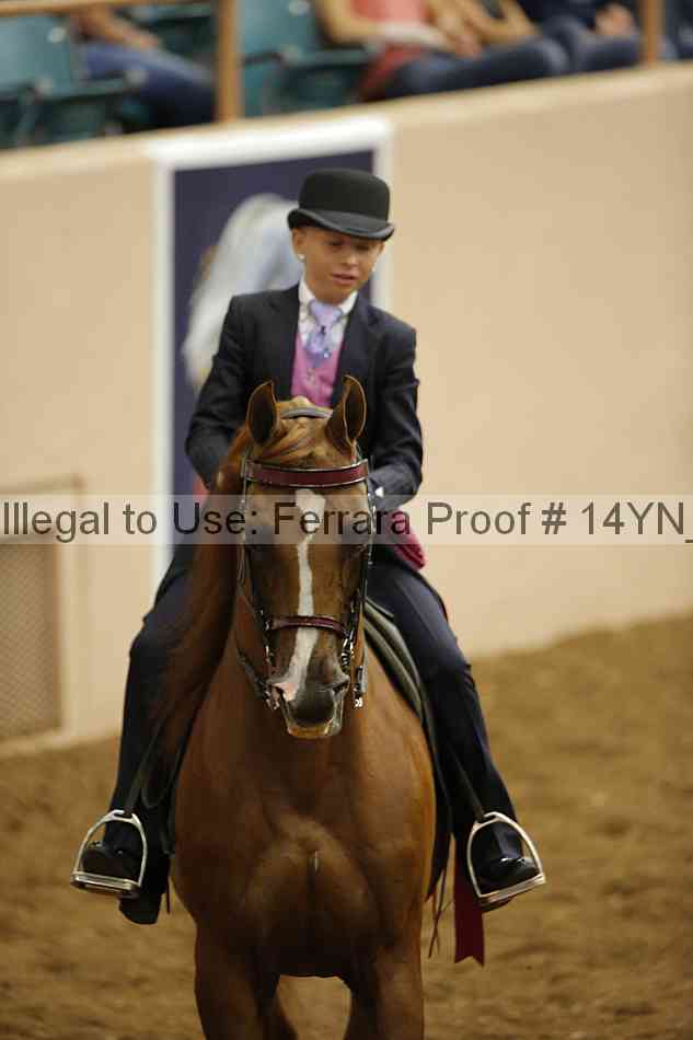 Proof 14yn_15950