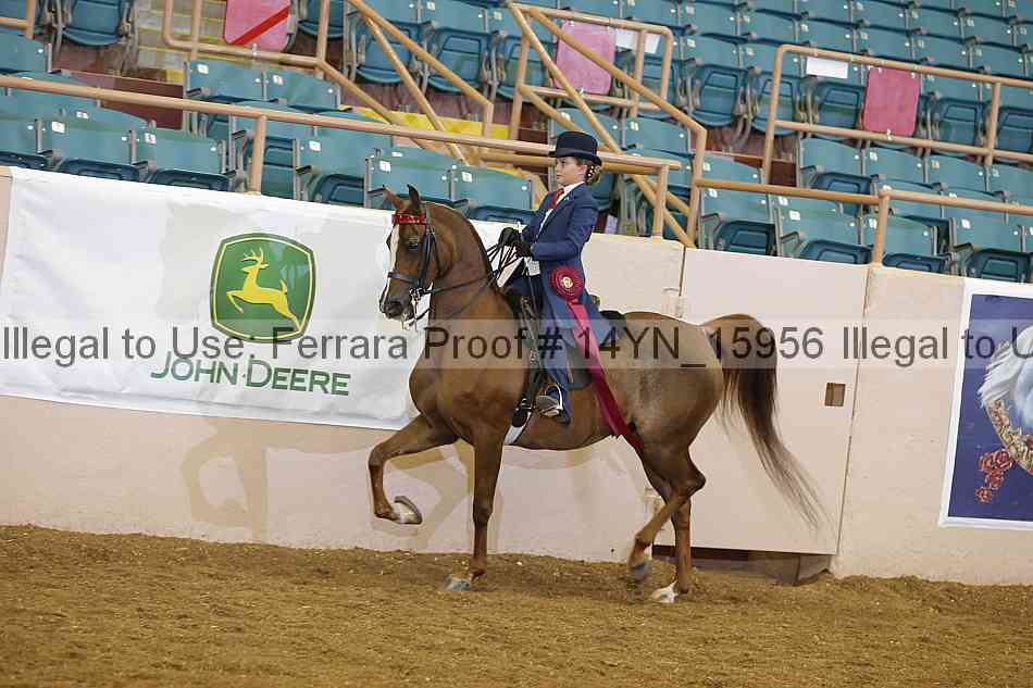 Proof 14yn_15956