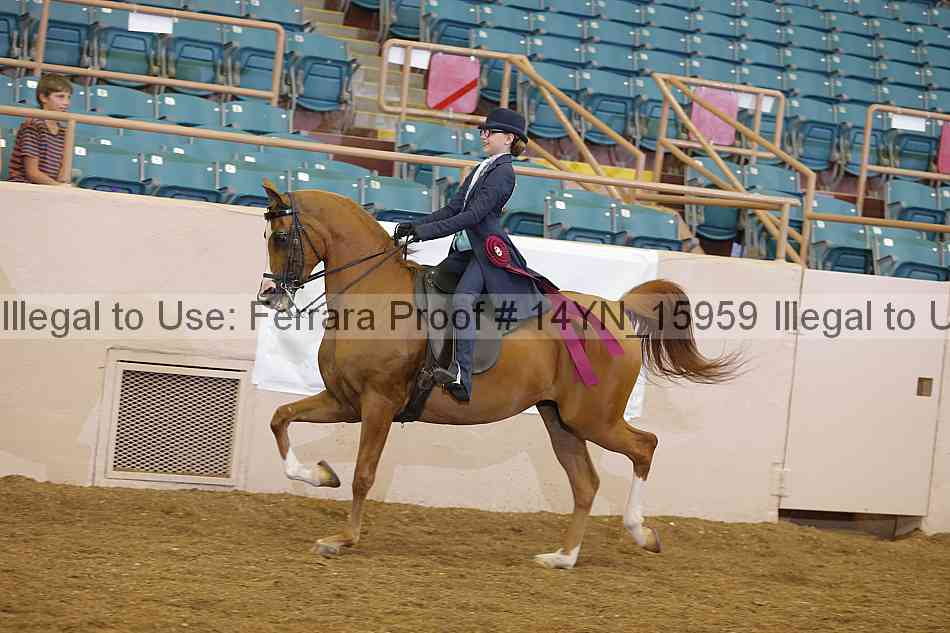 Proof 14yn_15959
