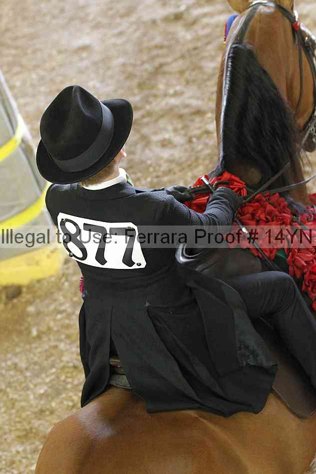 Proof 14yn_15992