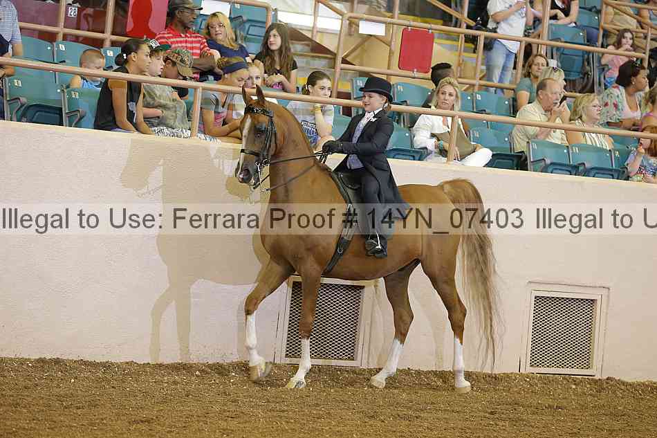 Proof 14yn_07403