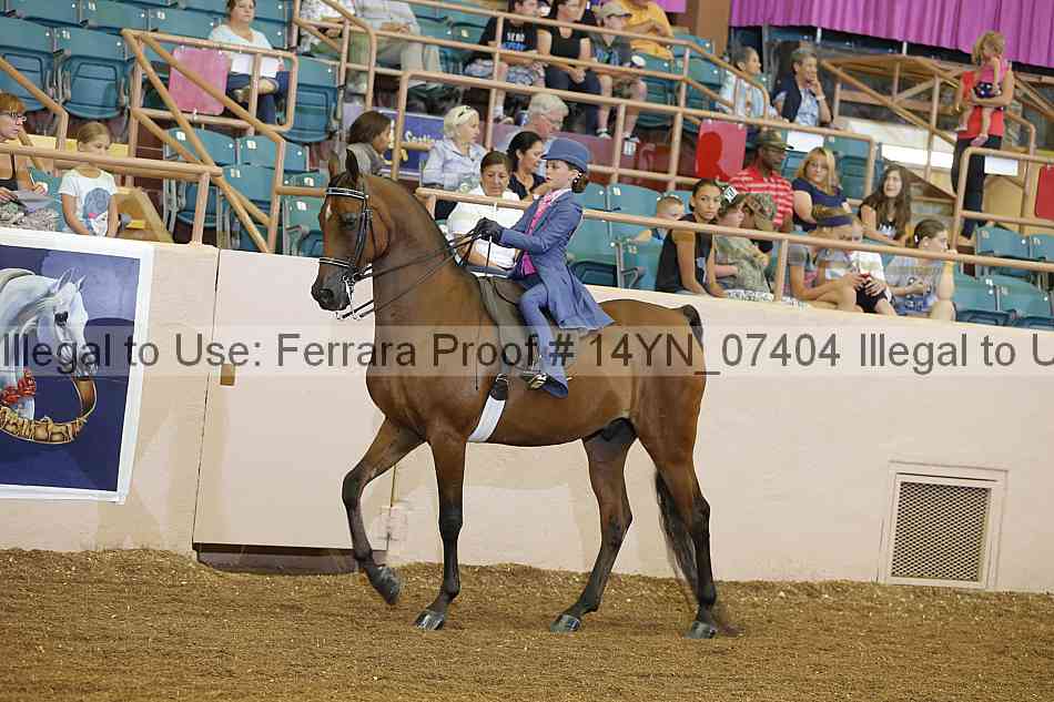 Proof 14yn_07404
