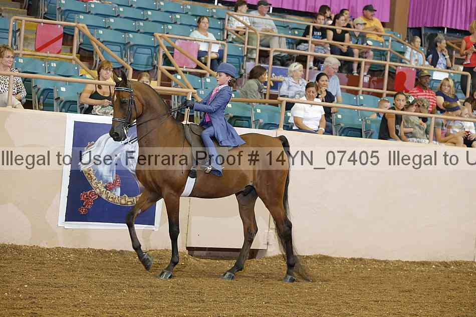 Proof 14yn_07405