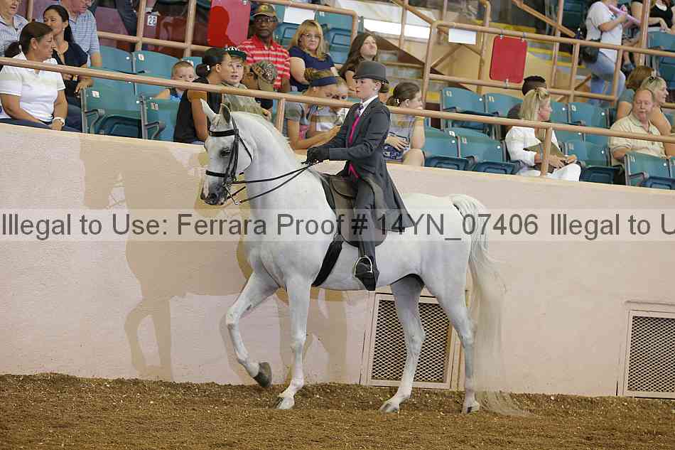 Proof 14yn_07406