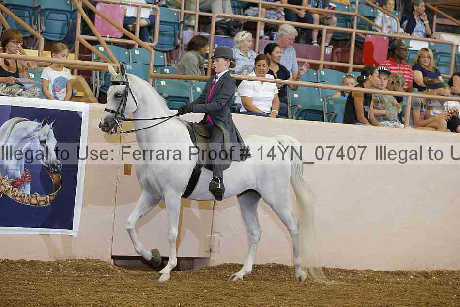 Proof 14yn_07407