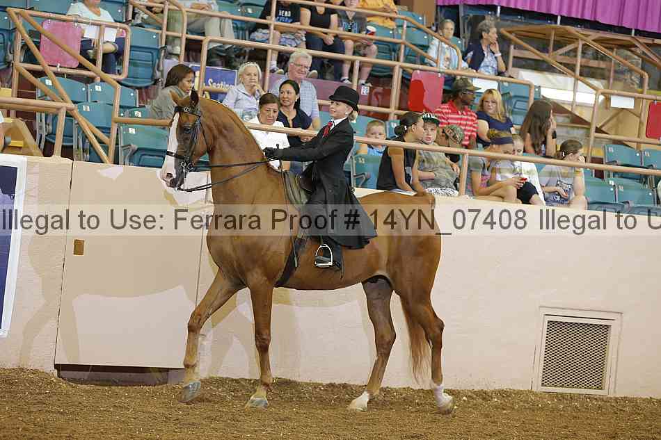 Proof 14yn_07408