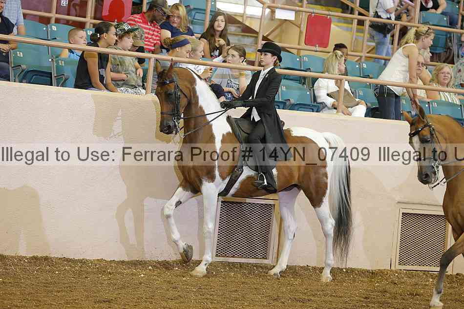 Proof 14yn_07409