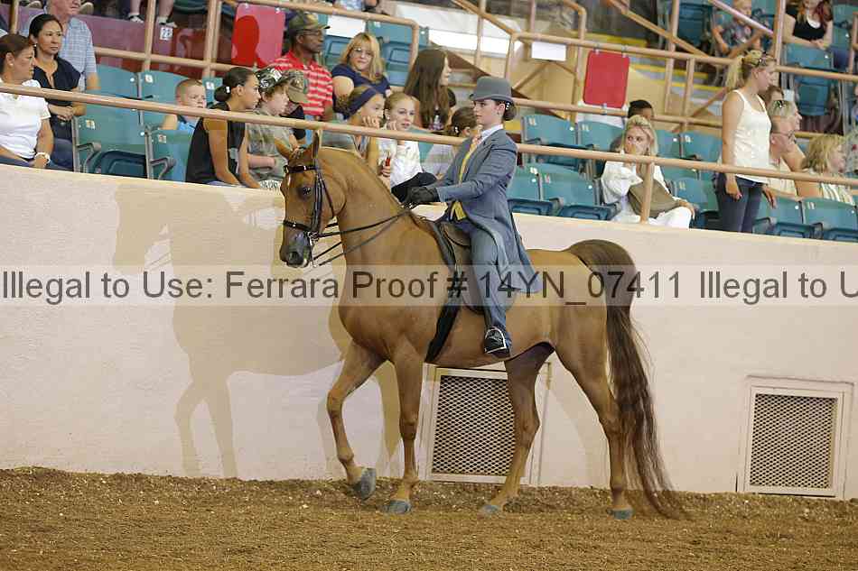 Proof 14yn_07411