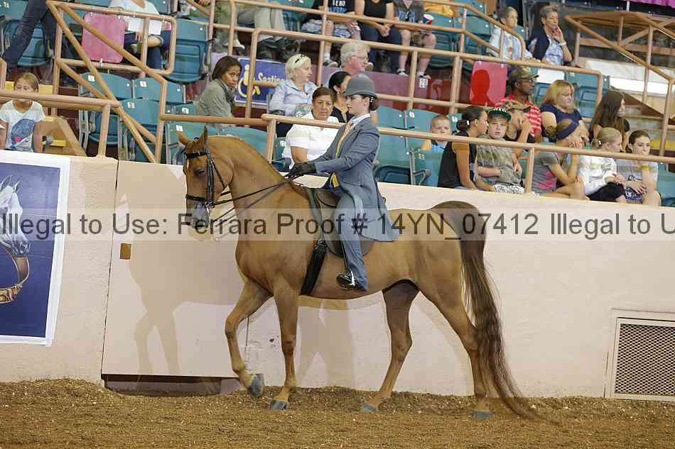 Proof 14yn_07412