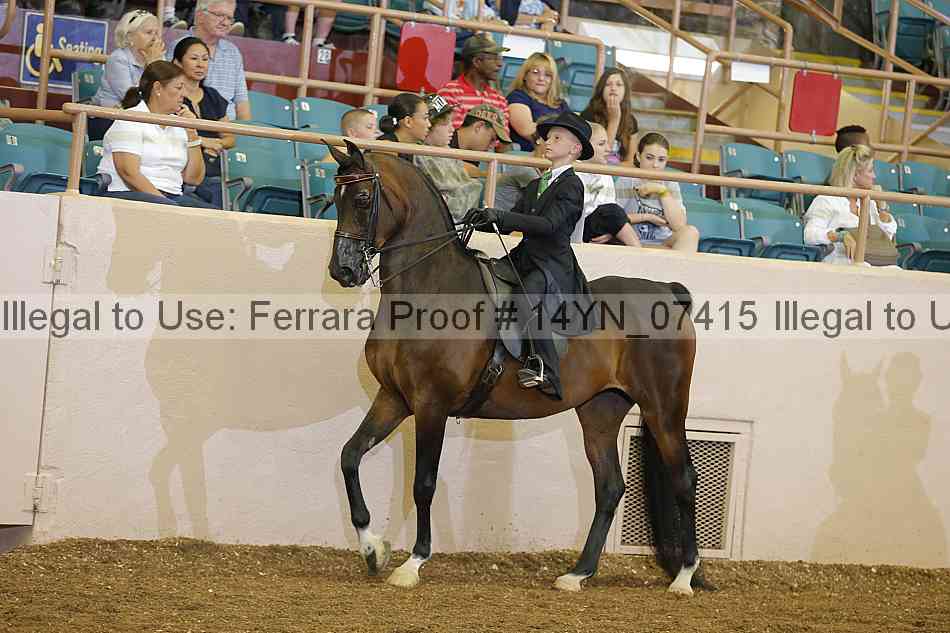Proof 14yn_07415