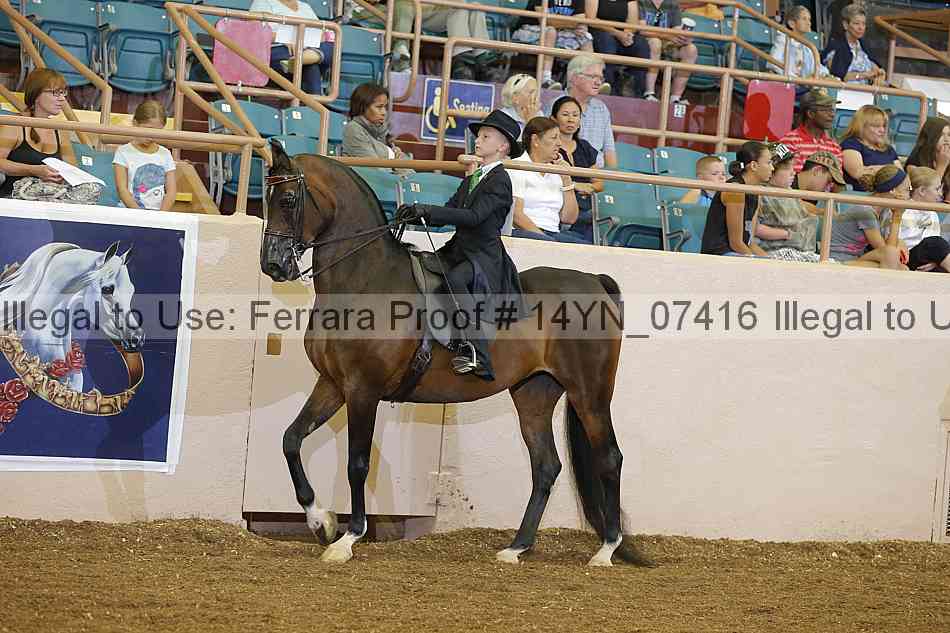 Proof 14yn_07416